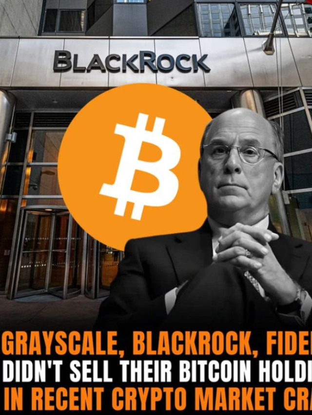 Greyscale , Black Rock, Fidelity Did Not Sell Their  Bitcoin Holdings in Recent Crypto Crash